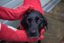 Load image into Gallery viewer, Ruff & Tumble - Drying Mitts