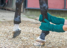 Load image into Gallery viewer, Ruff & Tumble - Drying Mitts